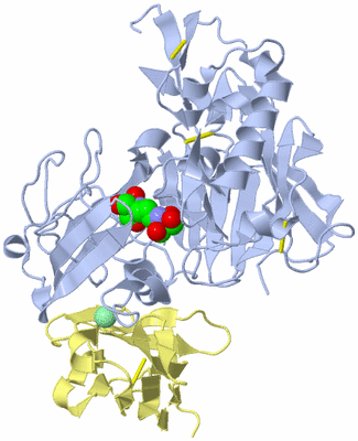 Image Asym./Biol. Unit