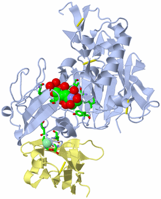 Image Asym./Biol. Unit - sites