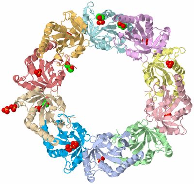 Image Asym./Biol. Unit