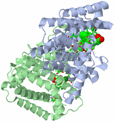 Image Asym./Biol. Unit - sites