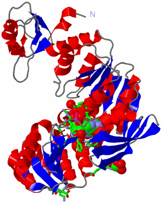 Image Asym./Biol. Unit - sites