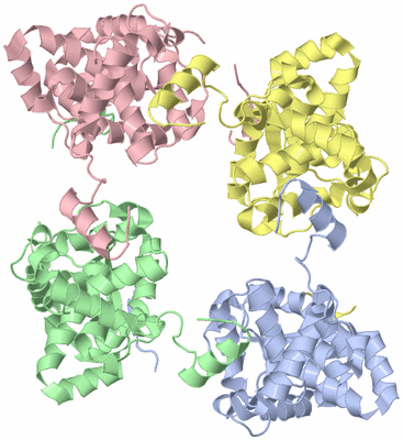 Image Asym./Biol. Unit