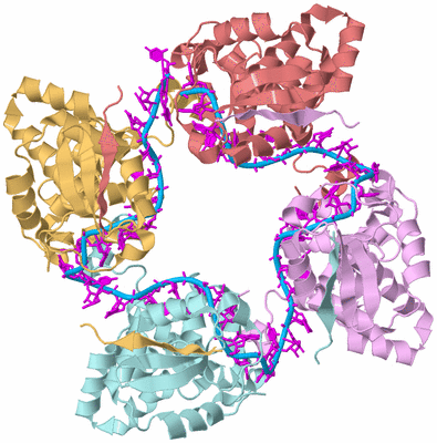 Image Biological Unit 1