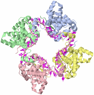 Image Biological Unit 2