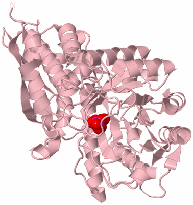 Image Biological Unit 3