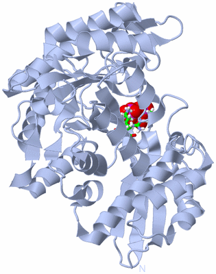 Image Biol. Unit 1 - sites