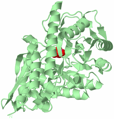 Image Biological Unit 2