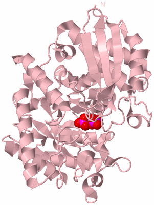 Image Biological Unit 3