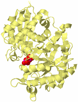 Image Biological Unit 4