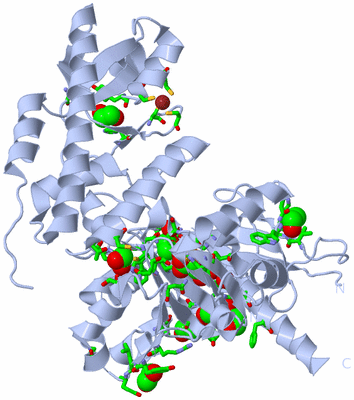 Image Biol. Unit 1 - sites