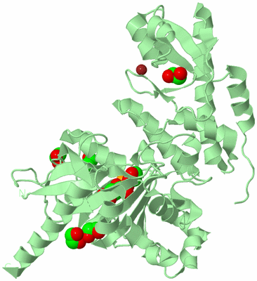 Image Biological Unit 2