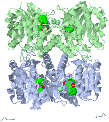 Image Biological Unit 1