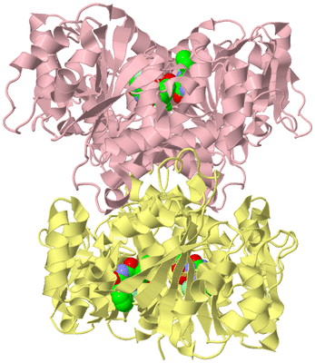 Image Biological Unit 2