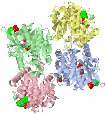 Image Asym./Biol. Unit