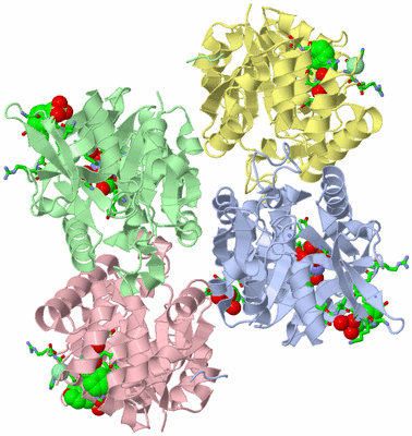 Image Asym./Biol. Unit - sites