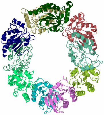 Image Biological Unit 2