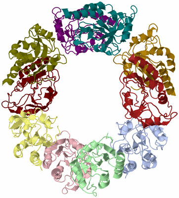 Image Biological Unit 3