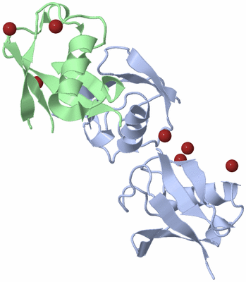 Image Biological Unit 1