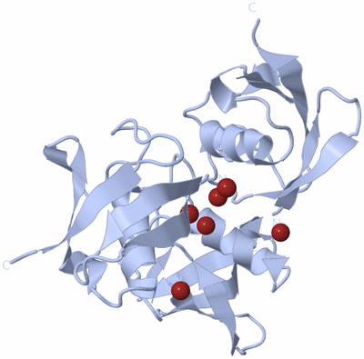 Image Biological Unit 2