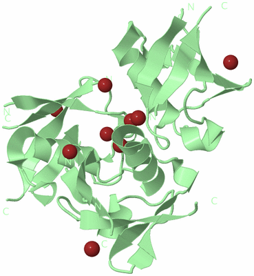 Image Biological Unit 3