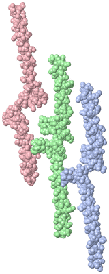 Image Asymmetric Unit