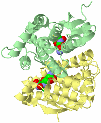 Image Biological Unit 2