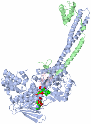 Image Asym./Biol. Unit