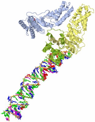 Image Asym./Biol. Unit - sites