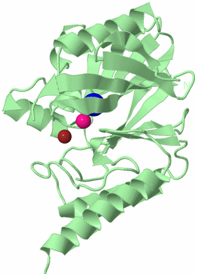 Image Biological Unit 2