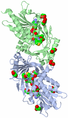 Image Asym./Biol. Unit