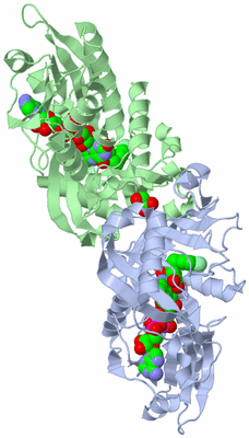 Image Asym./Biol. Unit