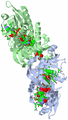 Image Asym./Biol. Unit - sites