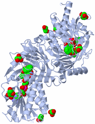 Image Biological Unit 1