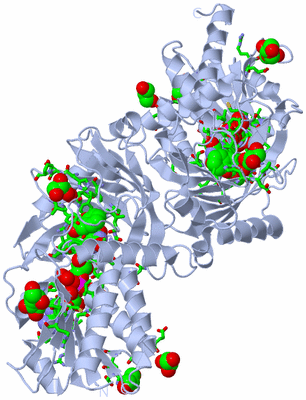 Image Biol. Unit 1 - sites