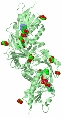 Image Biological Unit 2