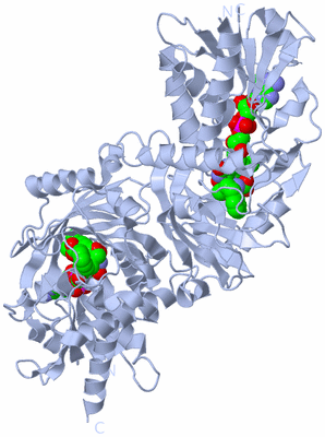 Image Biological Unit 1