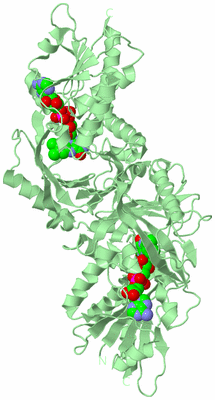 Image Biological Unit 2