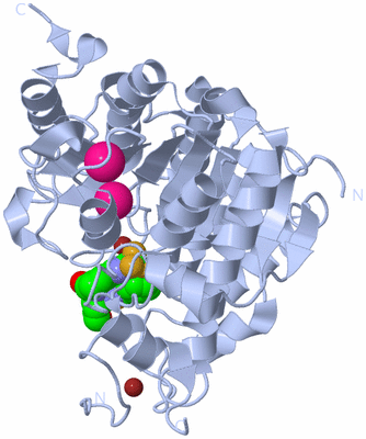 Image Biological Unit 1