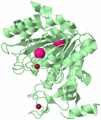 Image Biological Unit 2