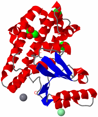 Image Asym./Biol. Unit