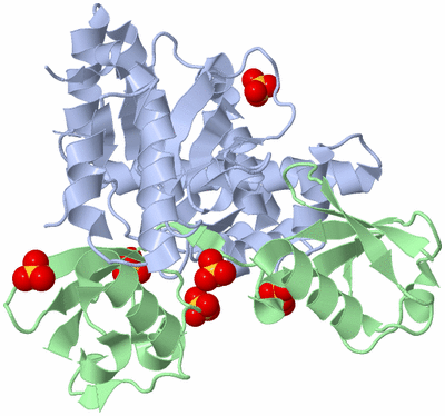 Image Asym./Biol. Unit