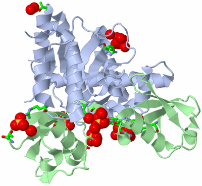 Image Asym./Biol. Unit - sites