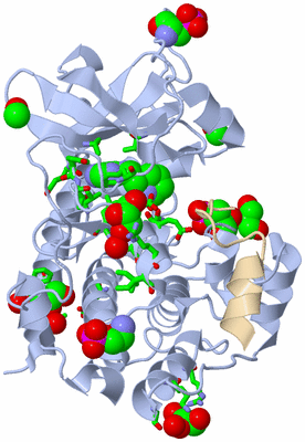 Image Asym./Biol. Unit - sites