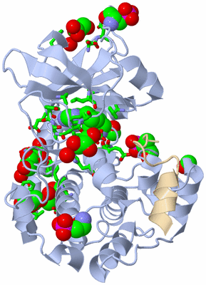 Image Asym./Biol. Unit - sites