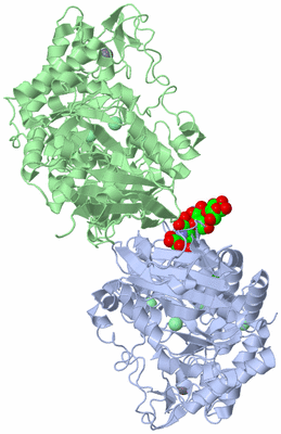 Image Asym./Biol. Unit