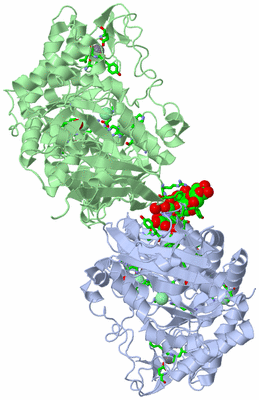 Image Asym./Biol. Unit - sites