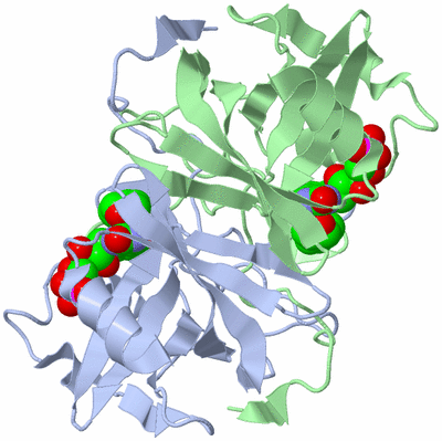 Image Biological Unit 2