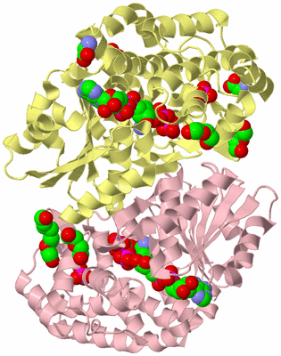 Image Biological Unit 2