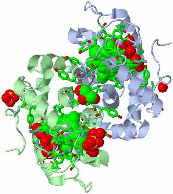 Image Asym./Biol. Unit - sites