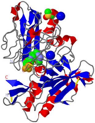 Image Asym./Biol. Unit